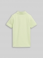 Tom Tailor Piqué Poloshirt aus Baumwolle - Frozen Lime Green Tom Tailor Piqué Poloshirt aus Baumwolle - Frozen Lime Green