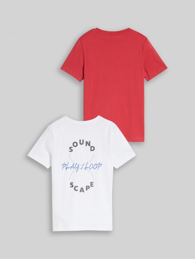 Tom Tailor Basic T-Shirt im 2er-Pack - Fresh Cardinal Red Tom Tailor Basic T-Shirt im 2er-Pack - Fresh Cardinal Red