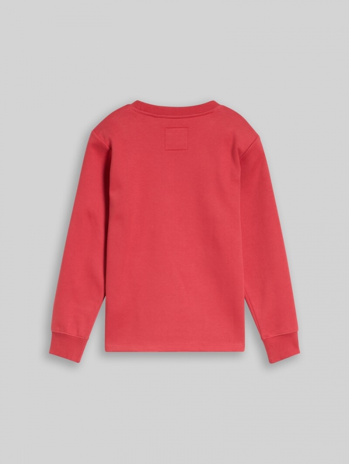 Tom Tailor Sweatshirt mit Schriftzug - Fresh Cardinal Red Tom Tailor Sweatshirt mit Schriftzug - Fresh Cardinal Red