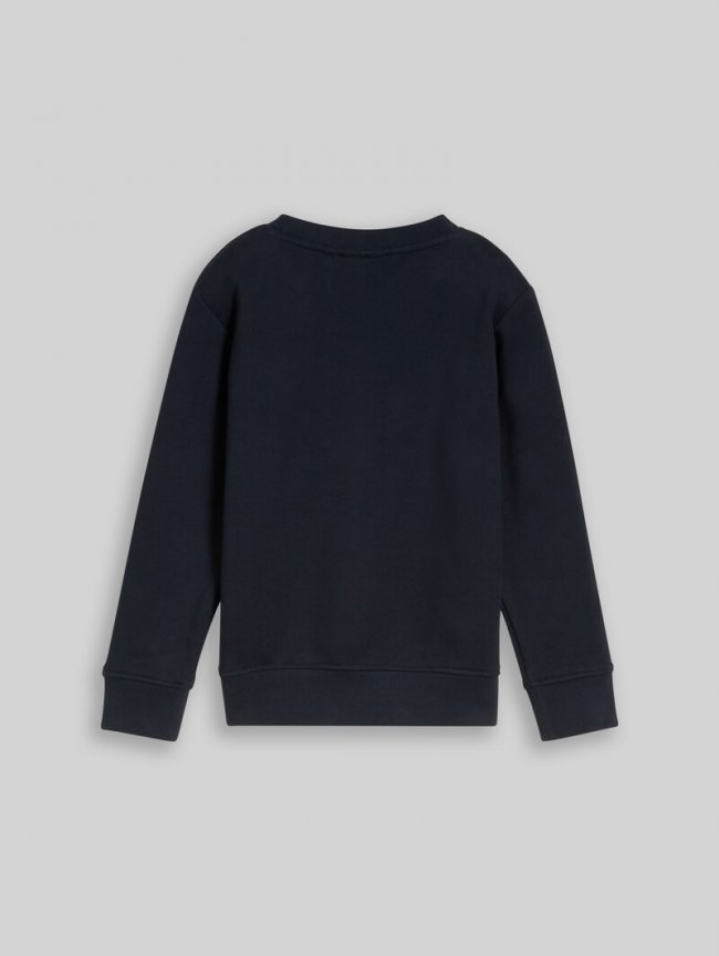Tom Tailor Sweatshirt mit Dino-Stickerei - Sky Captain Blue Tom Tailor Sweatshirt mit Dino-Stickerei - Sky Captain Blue