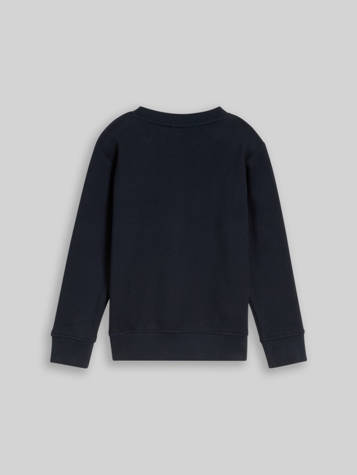 Tom Tailor Sweatshirt mit Dino-Stickerei - Sky Captain Blue Tom Tailor Sweatshirt mit Dino-Stickerei - Sky Captain Blue