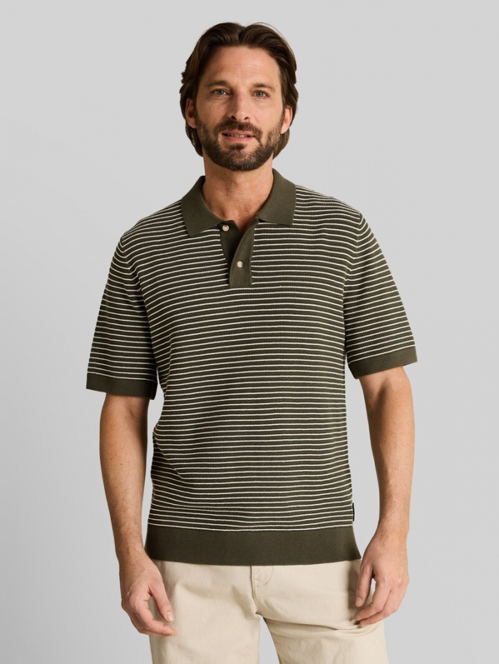 Tom Tailor Strickpullover mit Polokragen - Leaf Green Offwhite Stripe Tom Tailor Strickpullover mit Polokragen - Leaf Green Offwhite Stripe