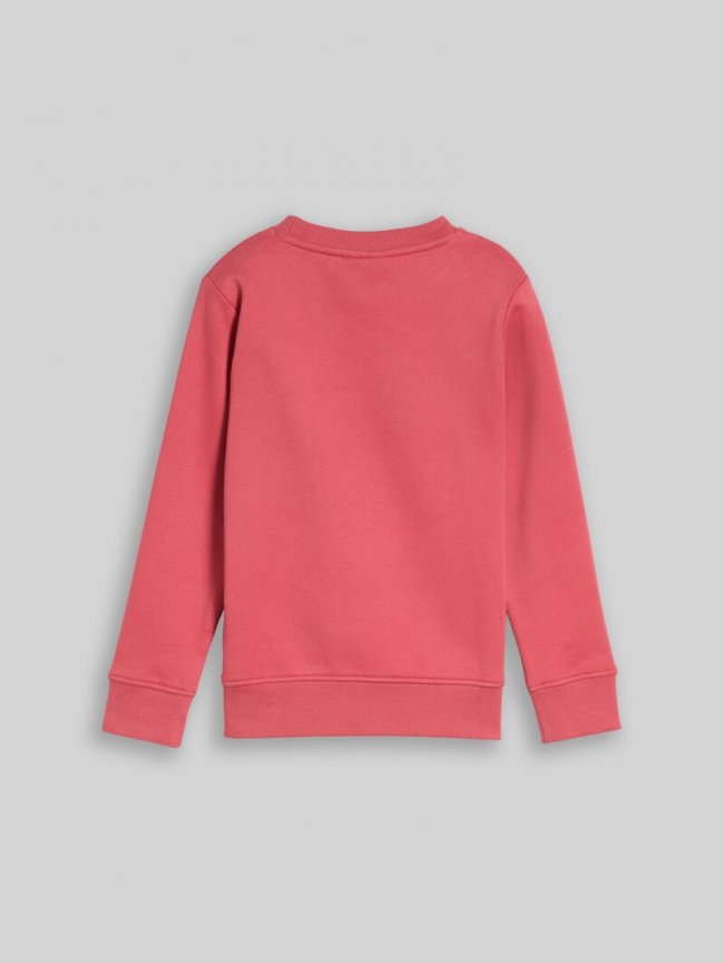 Tom Tailor Sweatshirt mit Dino-Stickerei - Berry Red Tom Tailor Sweatshirt mit Dino-Stickerei - Berry Red