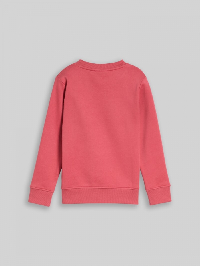 Tom Tailor Sweatshirt mit Dino-Stickerei - Berry Red Tom Tailor Sweatshirt mit Dino-Stickerei - Berry Red