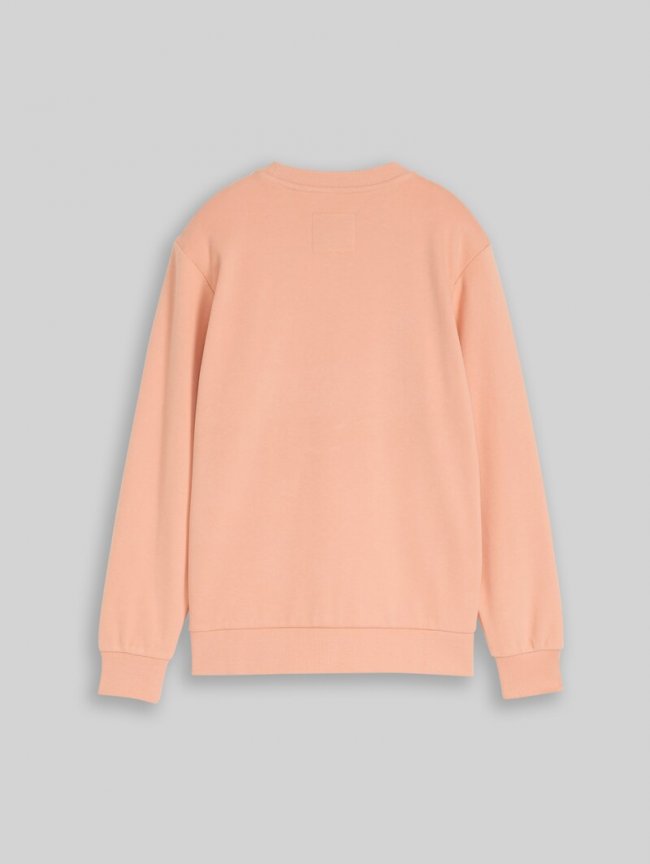 Tom Tailor Sweatshirt mit reflektierendem Print - Dusty Light Orange Tom Tailor Sweatshirt mit reflektierendem Print - Dusty Light Orange