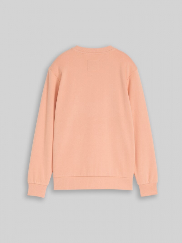 Tom Tailor Sweatshirt mit reflektierendem Print - Dusty Light Orange Tom Tailor Sweatshirt mit reflektierendem Print - Dusty Light Orange