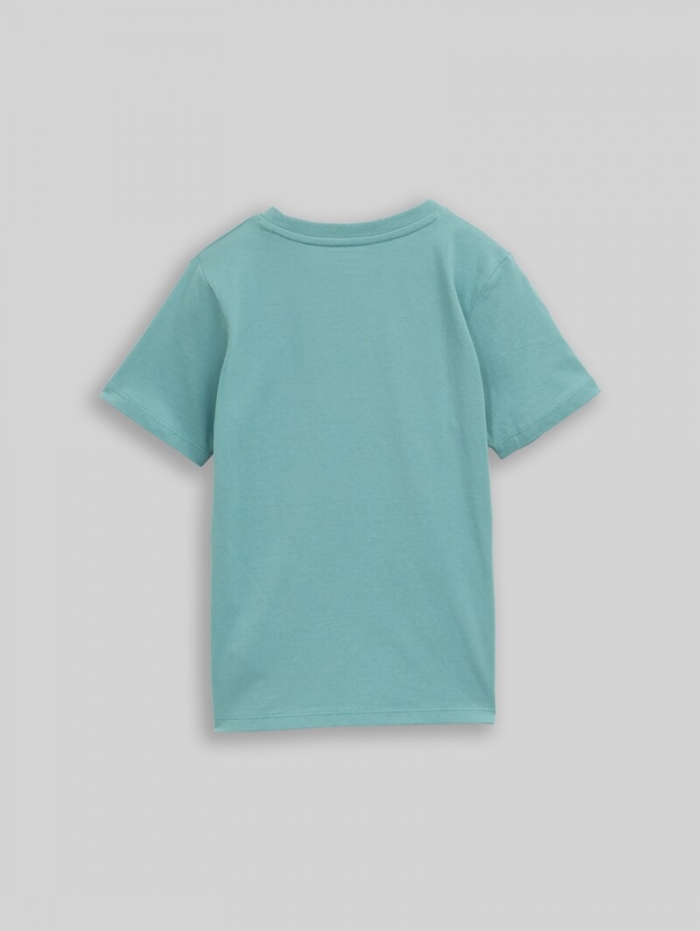 Tom Tailor T-Shirt mit Foto-Print - Salvia Tom Tailor T-Shirt mit Foto-Print - Salvia