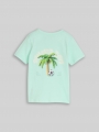 Tom Tailor T-Shirt mit Foto-Print - Light Bay Green Tom Tailor T-Shirt mit Foto-Print - Light Bay Green