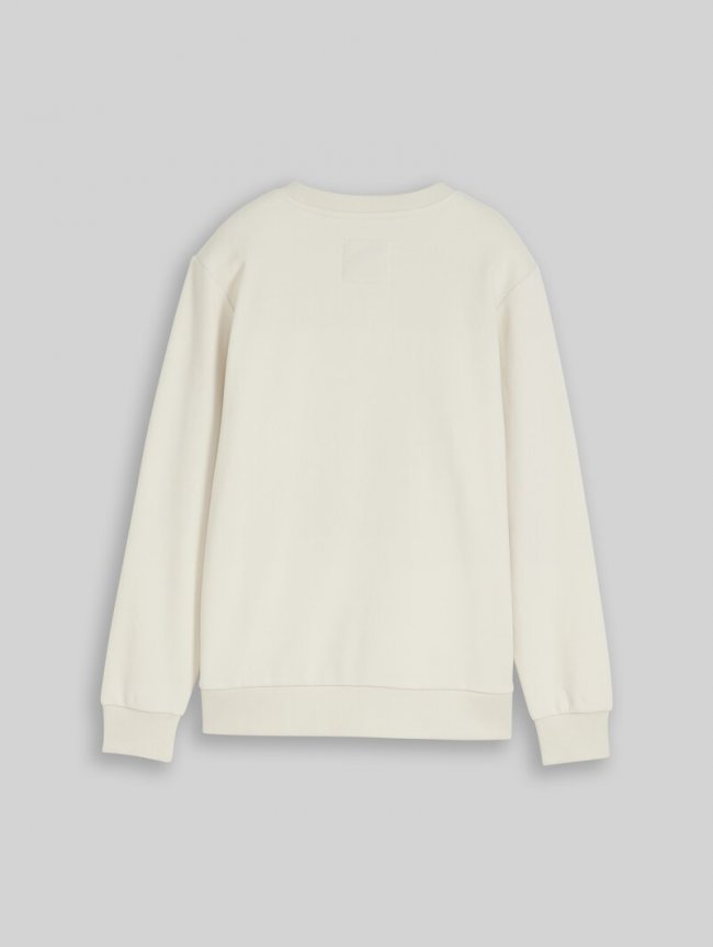 Tom Tailor Sweatshirt mit reflektierendem Print - Greyish White Tom Tailor Sweatshirt mit reflektierendem Print - Greyish White