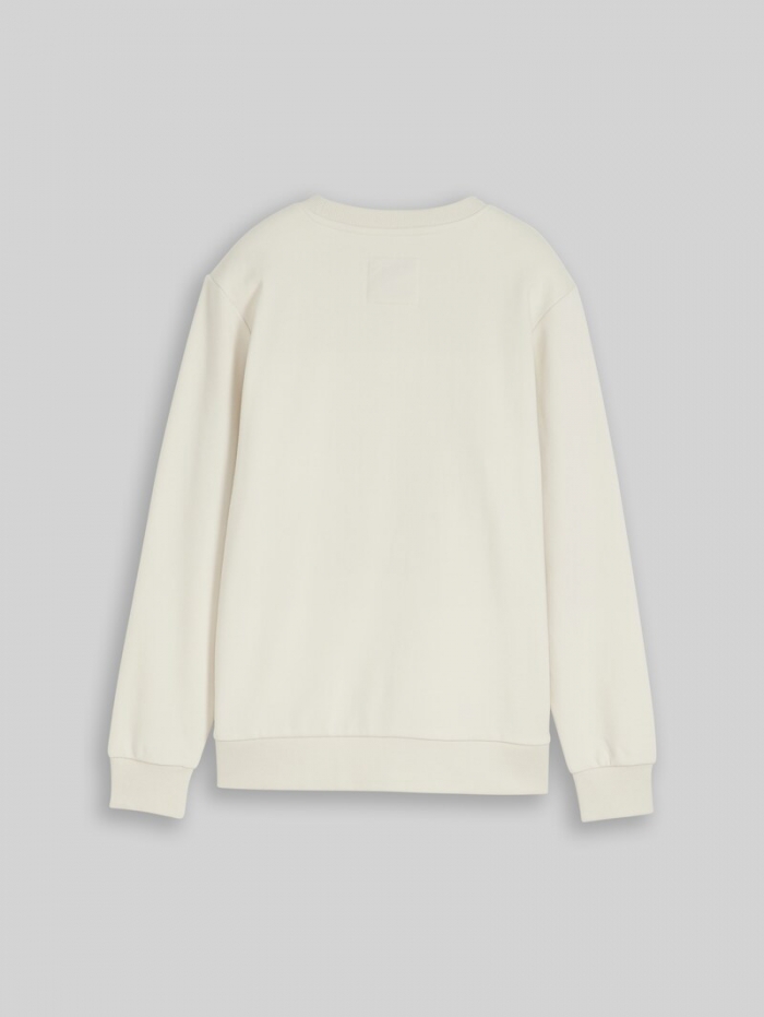 Tom Tailor Sweatshirt mit reflektierendem Print - Greyish White Tom Tailor Sweatshirt mit reflektierendem Print - Greyish White