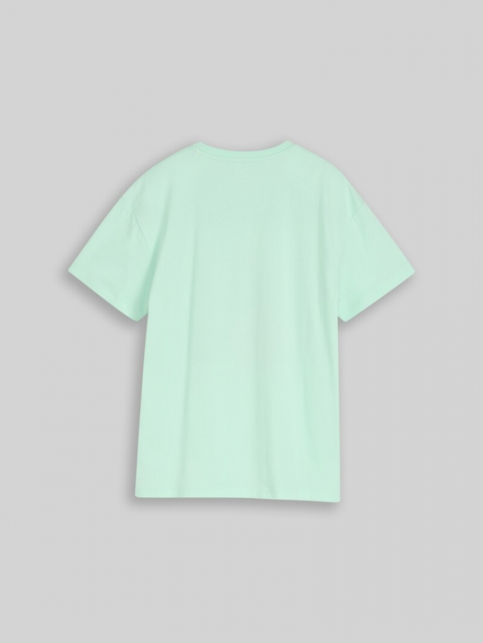 Tom Tailor Oversize T-Shirt mit Print - Soft Sugar Green Tom Tailor Oversize T-Shirt mit Print - Soft Sugar Green