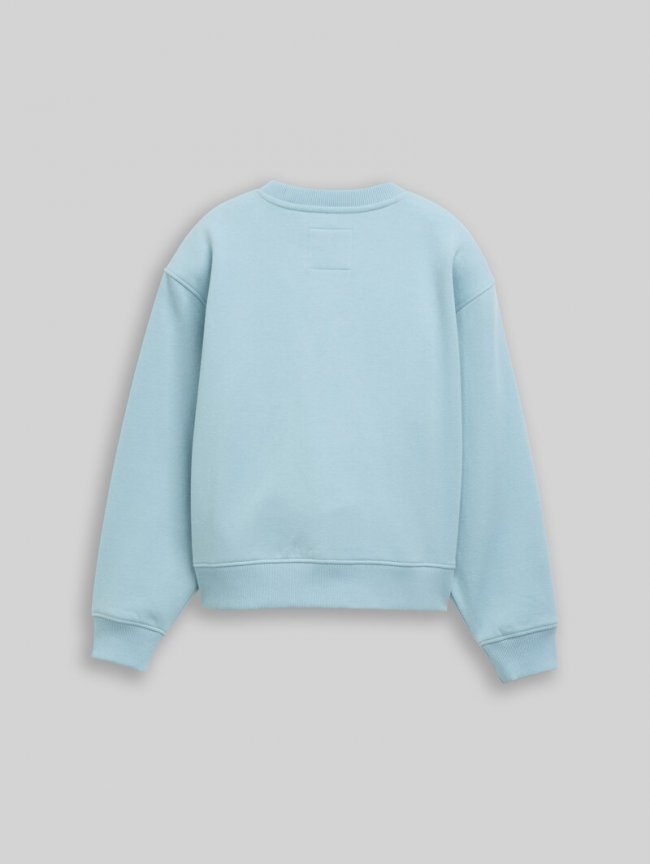 Tom Tailor Basic Sweatshirt - Tourmaline Tom Tailor Basic Sweatshirt - Tourmaline