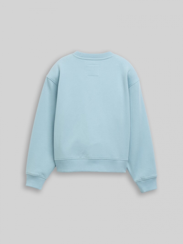 Tom Tailor Basic Sweatshirt - Tourmaline