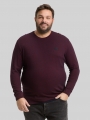 Tom Tailor Plus Size - Langarmshirt mit Logo-Badge - Red Navy Grindle Structure Tom Tailor Plus Size - Langarmshirt mit Logo-Badge - Red Navy Grindle Structure