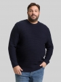 Tom Tailor Plus Size - Strickpullover mit Rundhalsausschnitt - Sky Captain Blue Tom Tailor Plus Size - Strickpullover mit Rundhalsausschnitt - Sky Captain Blue