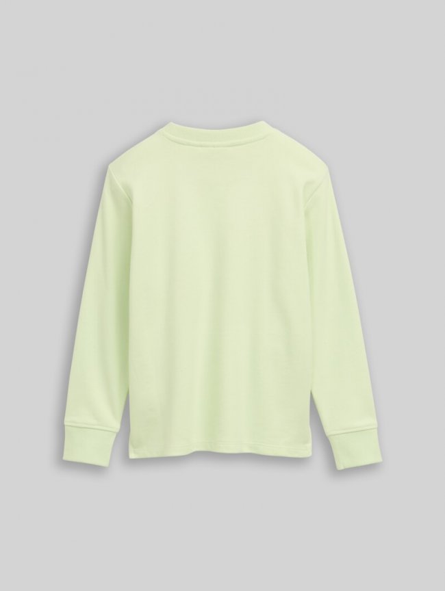 Tom Tailor Sweatshirt mit Foto-Print - Frozen Lime Green Tom Tailor Sweatshirt mit Foto-Print - Frozen Lime Green