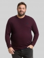 Tom Tailor Plus Size - Langarmshirt mit Logo-Badge - Red Navy Grindle Structure Tom Tailor Plus Size - Langarmshirt mit Logo-Badge - Red Navy Grindle Structure