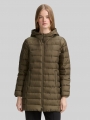 Tom Tailor Lightweight Steppmantel mit Kapuze - Grape Leaf Green Tom Tailor Lightweight Steppmantel mit Kapuze - Grape Leaf Green