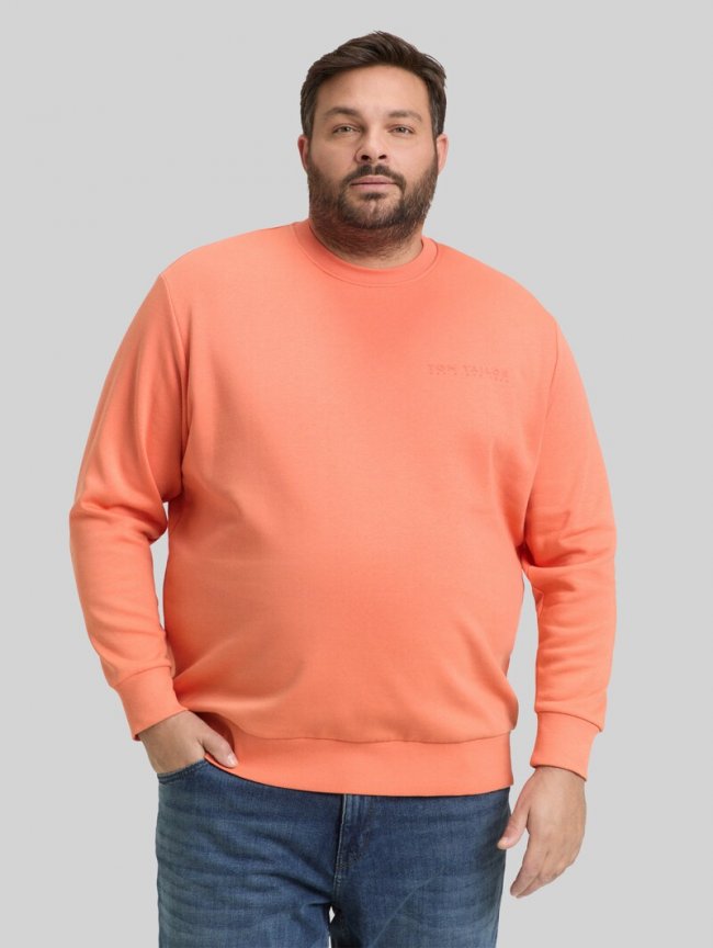 Tom Tailor Plus Size - Sweatshirt mit Logo-Print - Wild Coral Tom Tailor Plus Size - Sweatshirt mit Logo-Print - Wild Coral