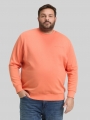 Tom Tailor Plus Size - Sweatshirt mit Logo-Print - Wild Coral Tom Tailor Plus Size - Sweatshirt mit Logo-Print - Wild Coral