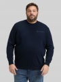 Tom Tailor Plus Size - Sweatshirt mit Logo-Print - Sky Captain Blue Tom Tailor Plus Size - Sweatshirt mit Logo-Print - Sky Captain Blue