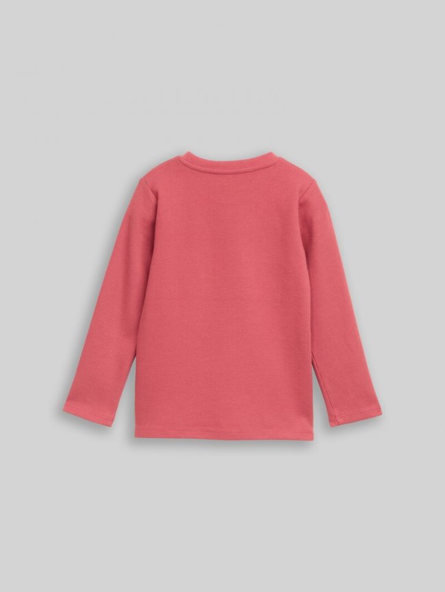Tom Tailor Langarmshirt mit Rundhalsschnitt - Berry Red Tom Tailor Langarmshirt mit Rundhalsschnitt - Berry Red