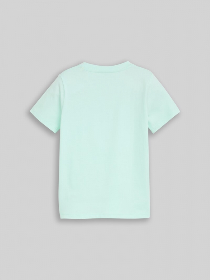 Tom Tailor T-Shirt mit Löwen-Print - Light Bay Green Tom Tailor T-Shirt mit Löwen-Print - Light Bay Green