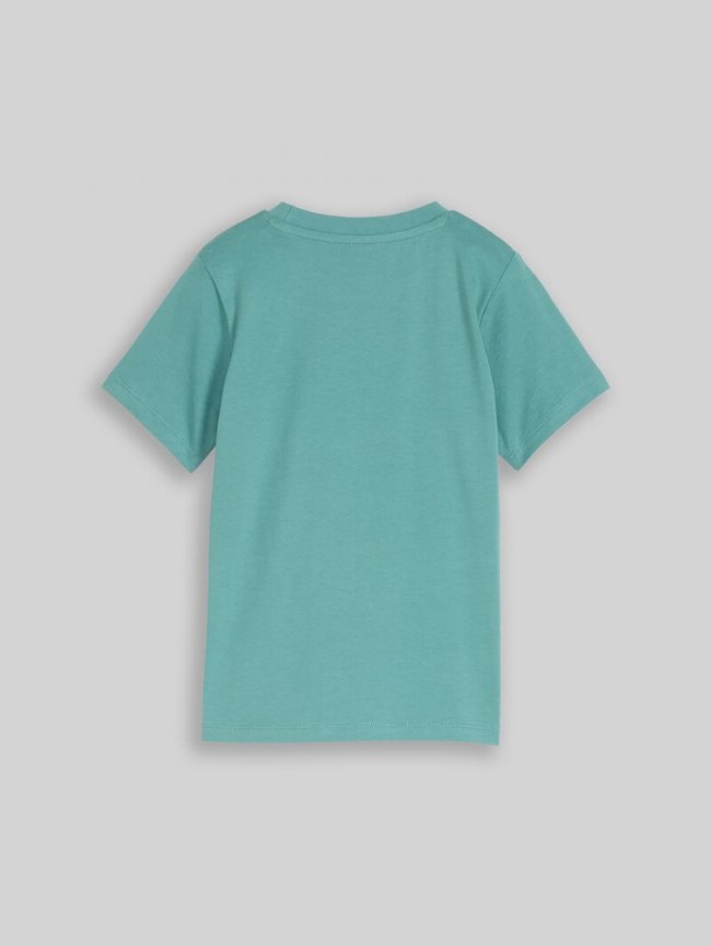 Tom Tailor T-Shirt mit Frosch-Print - Salvia Tom Tailor T-Shirt mit Frosch-Print - Salvia