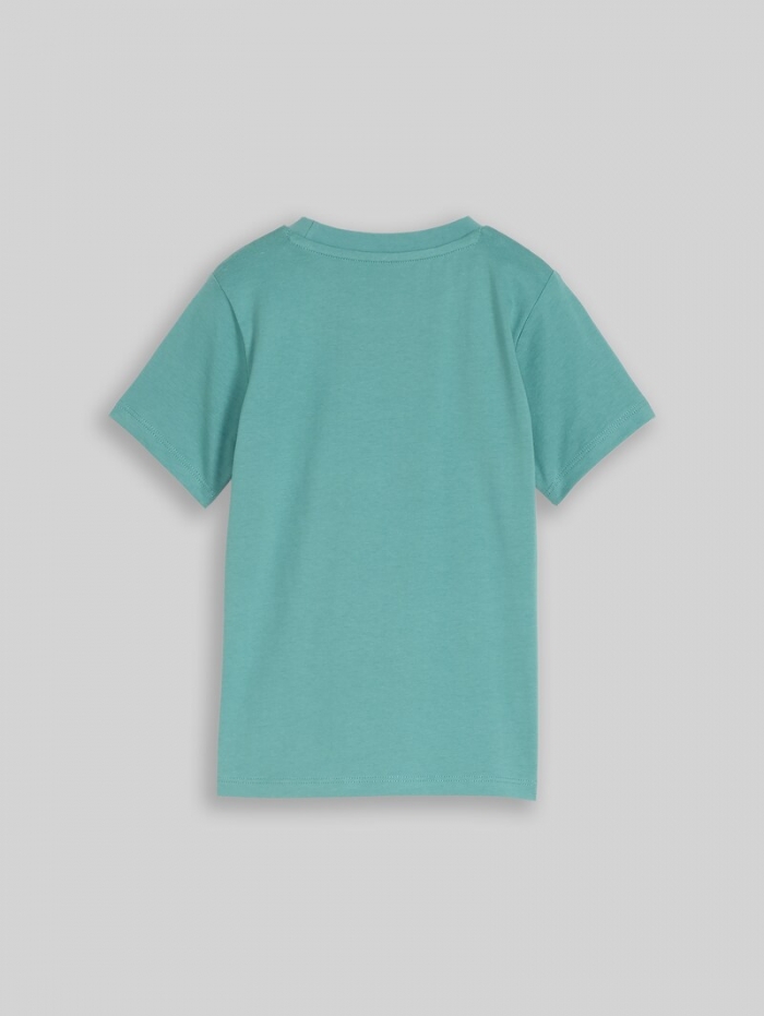 Tom Tailor T-Shirt mit Frosch-Print - Salvia Tom Tailor T-Shirt mit Frosch-Print - Salvia