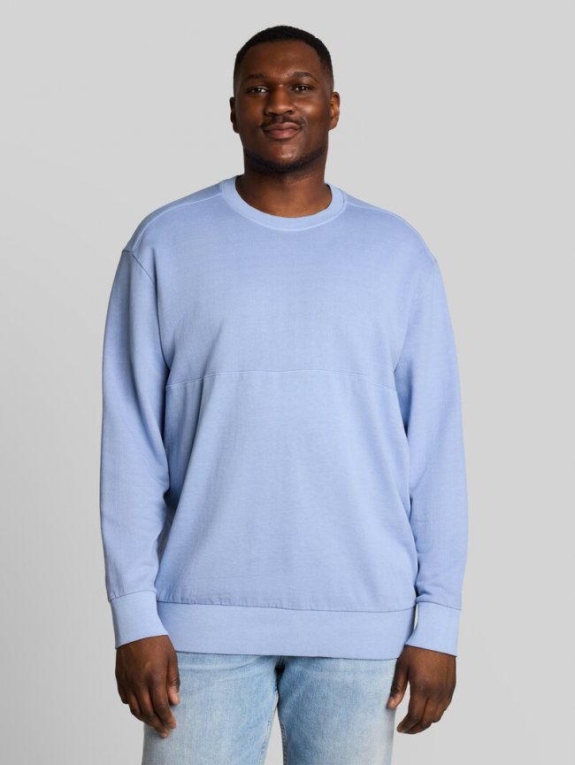 Tom Tailor Plus Size - Sweatshirt im Used-Look - Pale Blue Tom Tailor Plus Size - Sweatshirt im Used-Look - Pale Blue