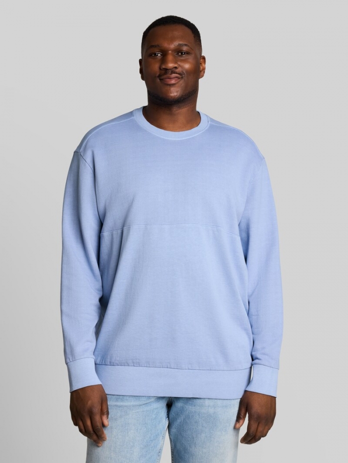 Tom Tailor Plus Size - Sweatshirt im Used-Look - Pale Blue