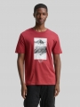 Tom Tailor T-Shirt mit Foto-Print - Burnt Russet Tom Tailor T-Shirt mit Foto-Print - Burnt Russet
