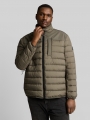 Tom Tailor Plus Size - Hybrid Steppweste mit Stehkragen - Faded Leaf Green