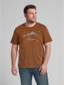 Tom Tailor Plus Size - T-Shirt mit Print - Brown Olive Injected Stripe Tom Tailor Plus Size - T-Shirt mit Print - Brown Olive Injected Stripe