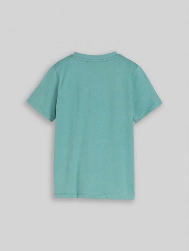 Tom Tailor T-Shirt mit Foto-Print - Salvia Tom Tailor T-Shirt mit Foto-Print - Salvia