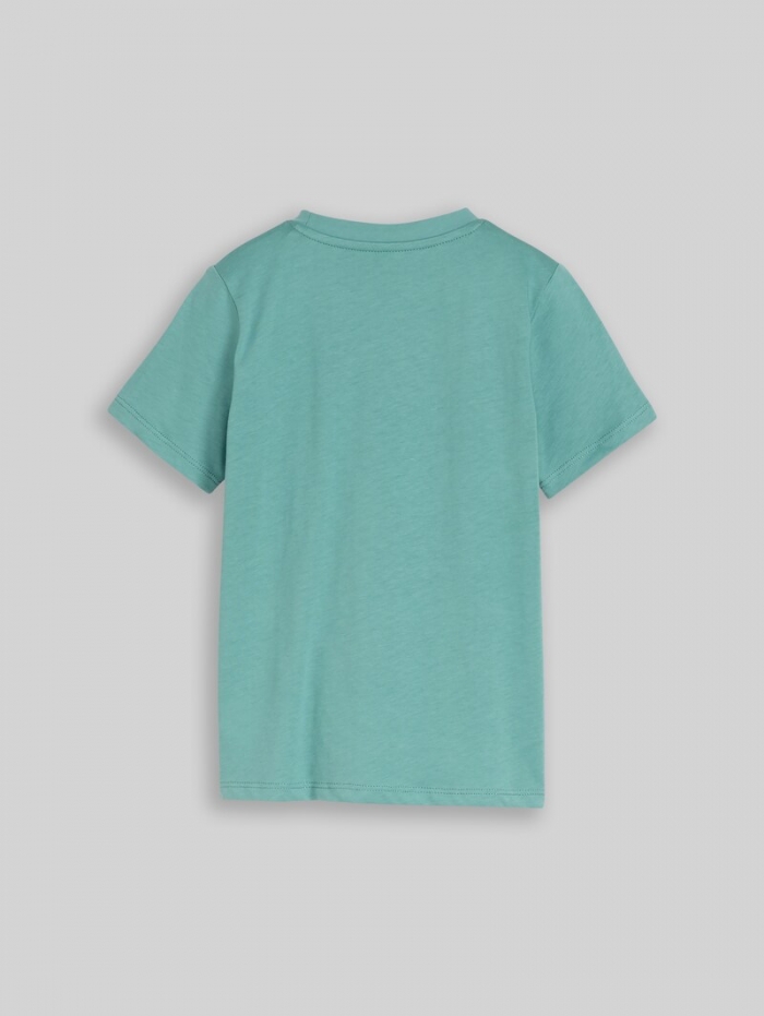 Tom Tailor T-Shirt mit Foto-Print - Salvia Tom Tailor T-Shirt mit Foto-Print - Salvia