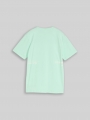 Tom Tailor T-Shirt mit Print - Soft Sugar Green Tom Tailor T-Shirt mit Print - Soft Sugar Green