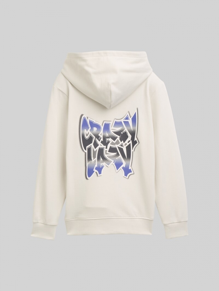 Tom Tailor Hoodie Sweatshirt mit Rückenprint - Greyish White Tom Tailor Hoodie Sweatshirt mit Rückenprint - Greyish White