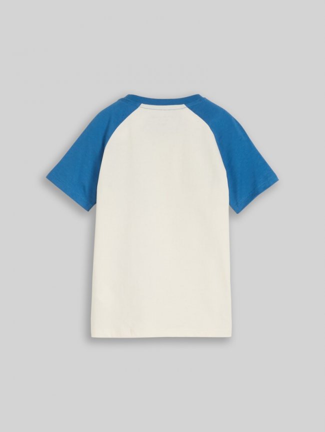 Tom Tailor Raglan T-Shirt aus Baumwolle - Wool White Tom Tailor Raglan T-Shirt aus Baumwolle - Wool White