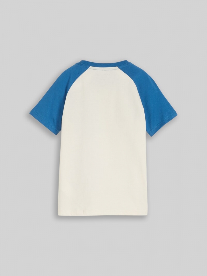 Tom Tailor Raglan T-Shirt aus Baumwolle - Wool White Tom Tailor Raglan T-Shirt aus Baumwolle - Wool White