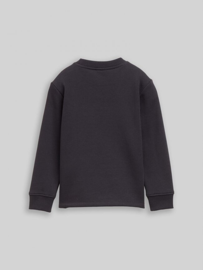 Tom Tailor Sweatshirt mit Print - Coal Grey Tom Tailor Sweatshirt mit Print - Coal Grey