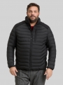 Tom Tailor Plus Size - Hybrid Lightweight Steppjacke mit Stehkragen - Black