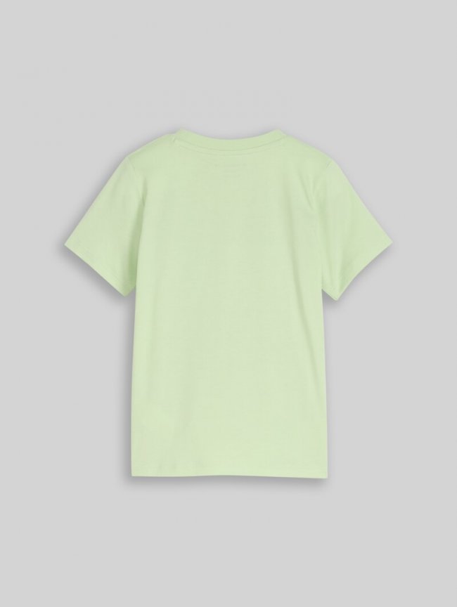 Tom Tailor T-Shirt mit Foto-Print - Frozen Lime Green Tom Tailor T-Shirt mit Foto-Print - Frozen Lime Green
