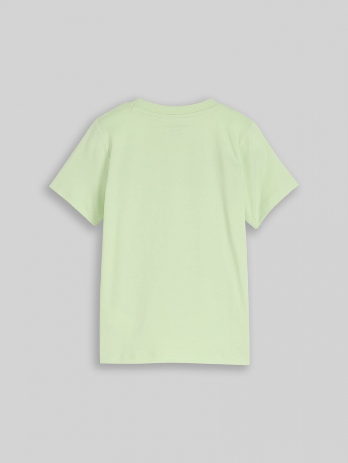 Tom Tailor T-Shirt mit Foto-Print - Frozen Lime Green Tom Tailor T-Shirt mit Foto-Print - Frozen Lime Green