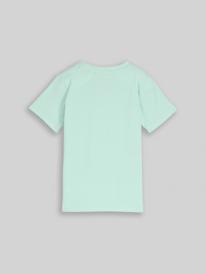 Tom Tailor T-Shirt mit Print - Light Bay Green Tom Tailor T-Shirt mit Print - Light Bay Green