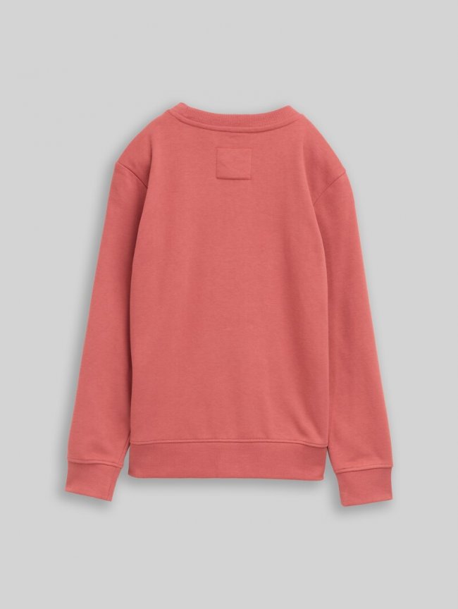 Tom Tailor Basic Sweatshirt mit Print - Faded Red Tom Tailor Basic Sweatshirt mit Print - Faded Red