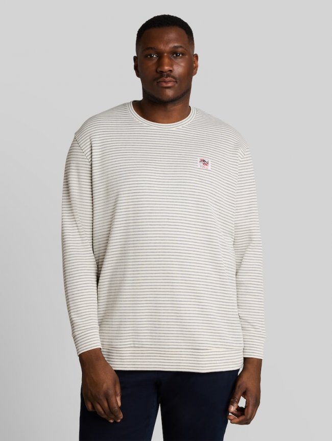 Tom Tailor Plus Size - Langarmshirt mit Streifenmuster - Offwhite Structured Stripe