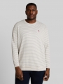 Tom Tailor Plus Size - Langarmshirt mit Streifenmuster - Offwhite Structured Stripe