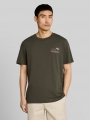 Tom Tailor T-Shirt mit Print - Deep Leaf Green