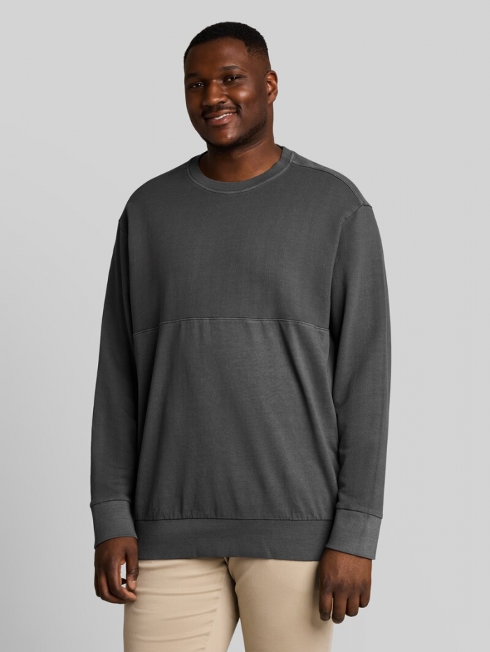 Tom Tailor Plus Size - Sweatshirt im Used-Look - Tarmac Grey Tom Tailor Plus Size - Sweatshirt im Used-Look - Tarmac Grey